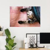 Snoozing Kitten Poster (Heimbüro)