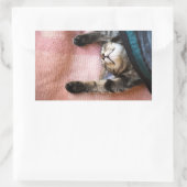Snoozing Kitten Rechteckiger Aufkleber (Tasche)