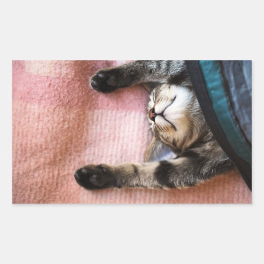 Snoozing Kitten Rechteckiger Aufkleber (Vorderseite)