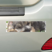 Snoozing Schnauzer-Autoaufkleber Autoaufkleber (Auf Auto)