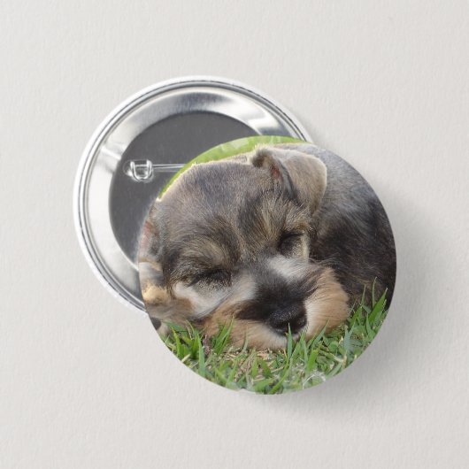 Snoozing Schnauzer-Knopf Button (Vorne & Hinten)
