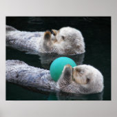 Snoozing Sea Otters Fotografisch Poster (Vorne)