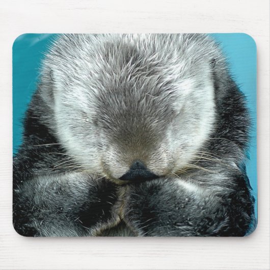 Snoozing Seeotter Mousepad (Vorne)