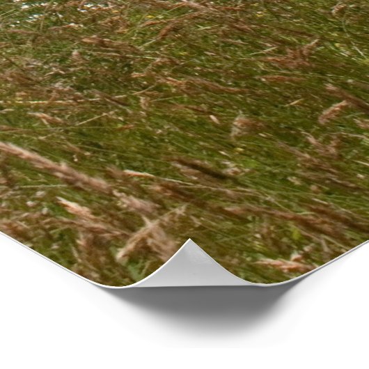 Snoqualmie Falls Poster (Ecke)