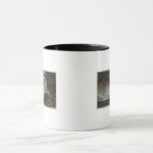 Snoqualmie Falls, WA - Blick auf die Wasserfälle u Tasse (Zentrum)