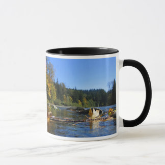 Snoqualmie Fluss-Tasse Tasse