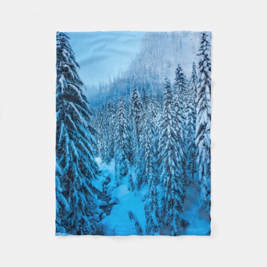 Snoqualmie Pass, Washington Staat. Fleecedecke (Vorderseite)