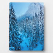 Snoqualmie Pass, Washington Staat. Fotoplatte (Vorderseite)