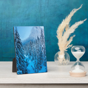 Snoqualmie Pass, Washington Staat. Fotoplatte