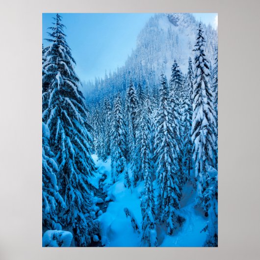 Snoqualmie Pass, Washington Staat. Poster (Vorne)