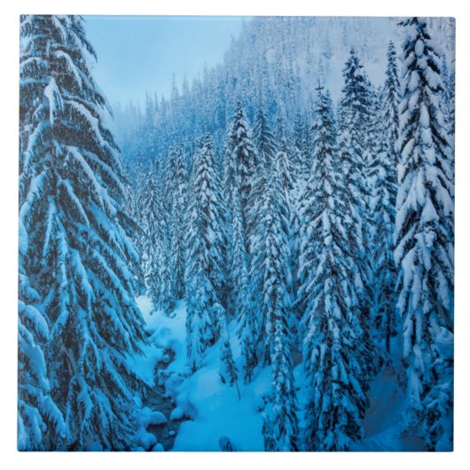 Snoqualmie Pass, Washington State. Fliese (Vorderseite)
