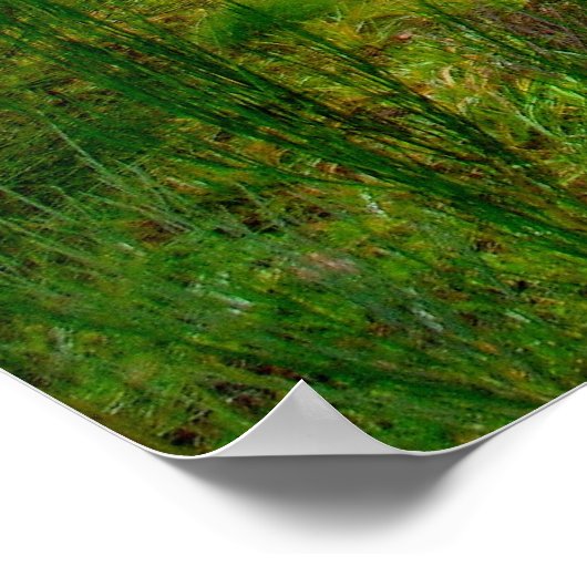 Snoqualmie Poster (Ecke)