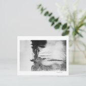 Snoqualmie, WA - Falls and Lodge Fotografy Postkarte (Stehend Vorderseite)