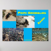 Snorkel Poipu Poster (Vorne)