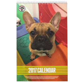 SNORT 2017 Kalender