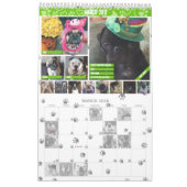 SNORT 2017 Kalender (Mär 2026)