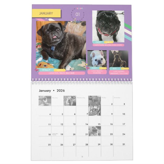 SNORT-Kalender 2023 Kalender (Jan 2026)