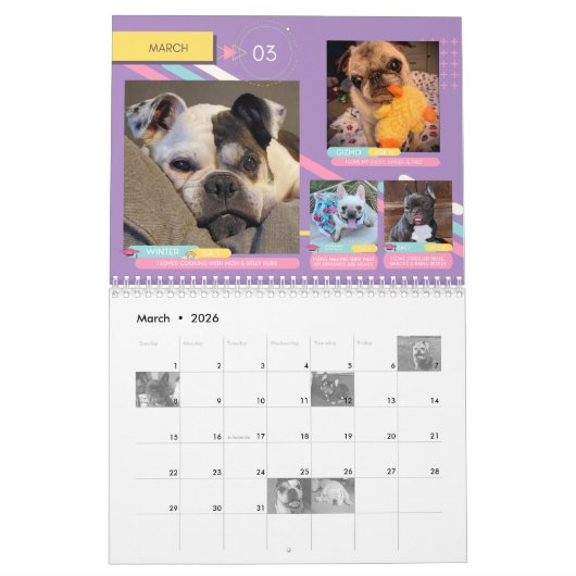 SNORT-Kalender 2023 Kalender (Mär 2026)