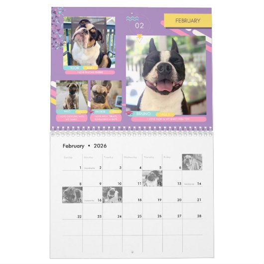 SNORT-Kalender 2023 Kalender (Feb 2026)