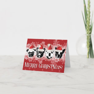 SNORTWeihnachtskarte (klein - 5,6 Zoll x 4 Zoll) Feiertagskarte