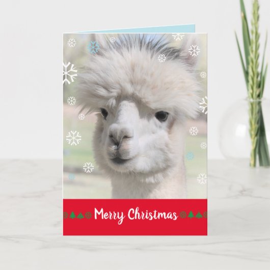 Snow Alpaca Frohe Weihnachtskarte Karte (Vorderseite)