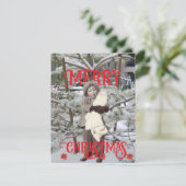 Snow and Poinsettias Photos Merry Christmas Karte (Stehend Vorderseite)