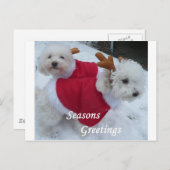 Snow Babys Feiertagspostkarte (Vorne/Hinten)