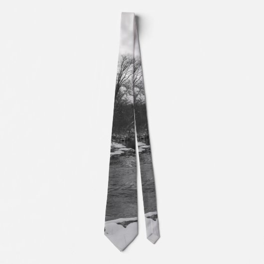 Snow Beauty James River Grayscale Neck Tie Krawatte (Vorderseite)