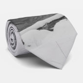 Snow Beauty James River Grayscale Neck Tie Krawatte (Gerollt)