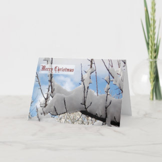 Snow Branch Christmas Card Feiertagskarte