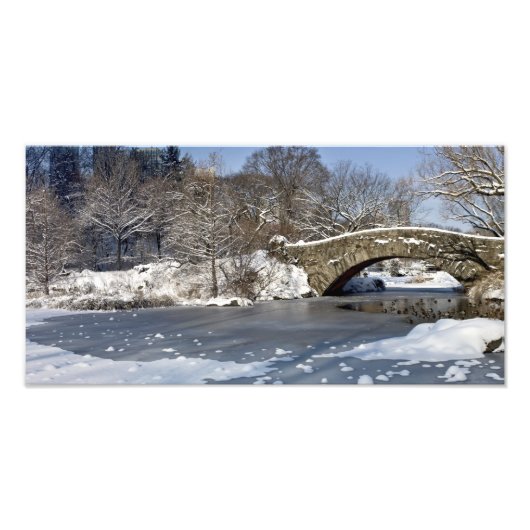Snow Bridge und Ice Central Park Fotodruck (Vorne)