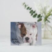 Snow Bully 2 - English Bulldog Postkarte (Stehend Vorderseite)