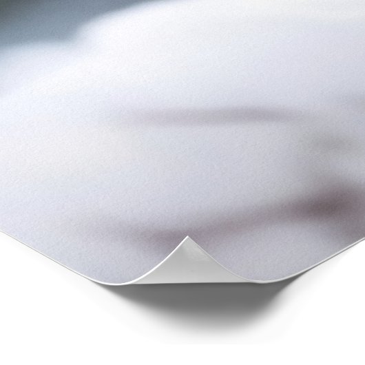 Snow Bunnies Poster (Ecke)