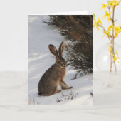 Snow Bunny Karte (Gelbe Blume)