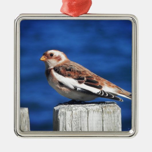 Snow Bunting Ornament Aus Metall (Vorne)