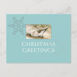 Snow-Bunting postcard Feiertagspostkarte