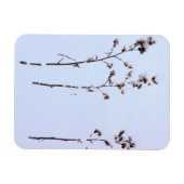 Snow Burrs Magnet (Horizontal)