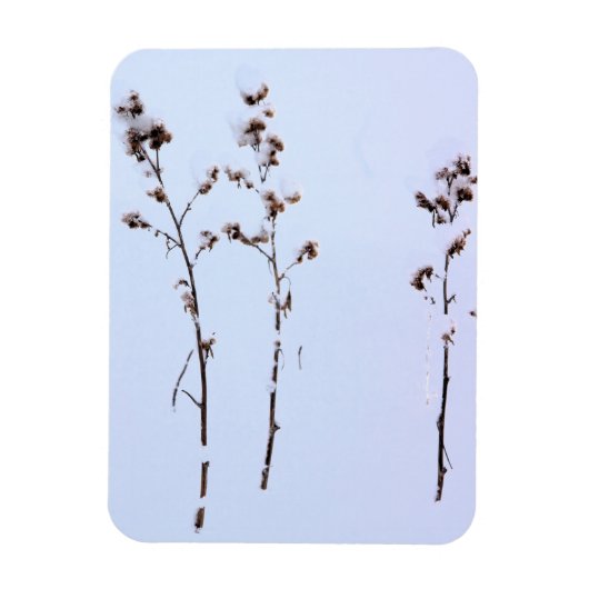 Snow Burrs Magnet (Vertikal)
