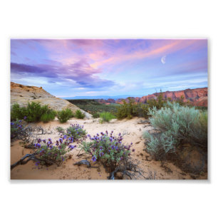 Snow Canyon Sunrise Wildblumen Landscape Foto