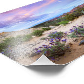 Snow Canyon Sunrise Wildblumen Landscape Foto (Ecke)