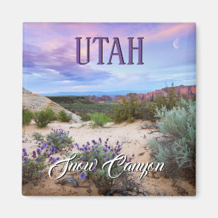 Snow Canyon Utah Magnet
