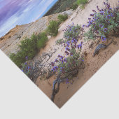 Snow-Canyon-Wildblume in Utah Seidenpapier (Ausschnitt)