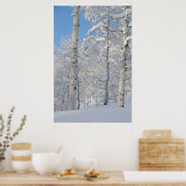 Snow-Covered Aspens, Beartrap-Desolation Ridge Poster (Küche)