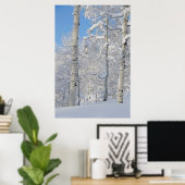 Snow-Covered Aspens, Beartrap-Desolation Ridge Poster (Heimbüro)