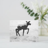 Snow Covered Baby Moose Postkarte (Stehend Vorderseite)