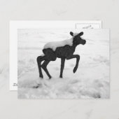 Snow Covered Baby Moose Postkarte (Vorne/Hinten)
