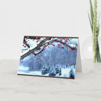 Snow Covered Berry Trees River Scene