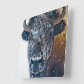 Snow-Covered Bison Wall Clock Quadratische Wanduhr (Winkel)