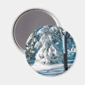 Snow Covered Evergreens Magnet (Vorderseite/Rückseite)