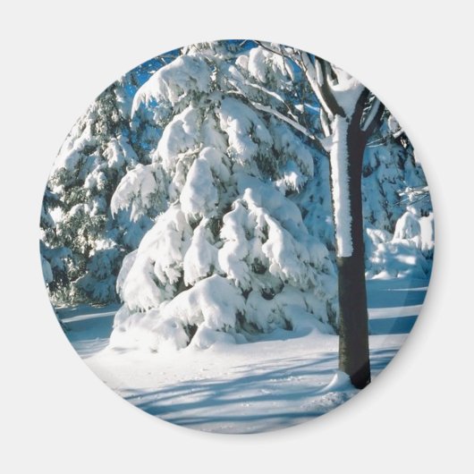 Snow Covered Evergreens Magnet (Vorne)